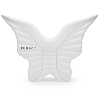 Angel wings float white